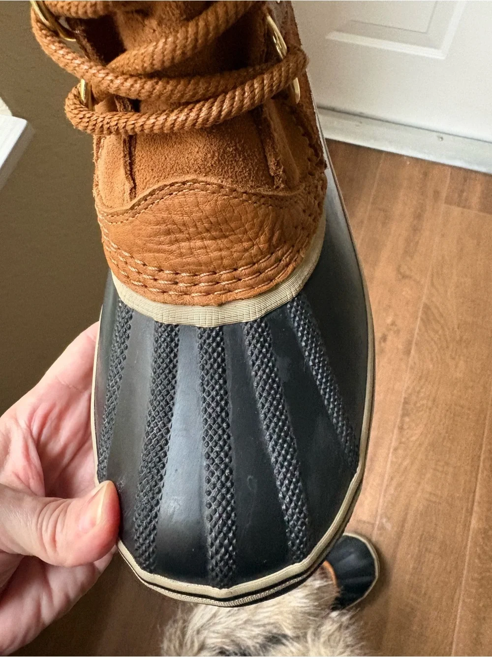 Sorel minor polished